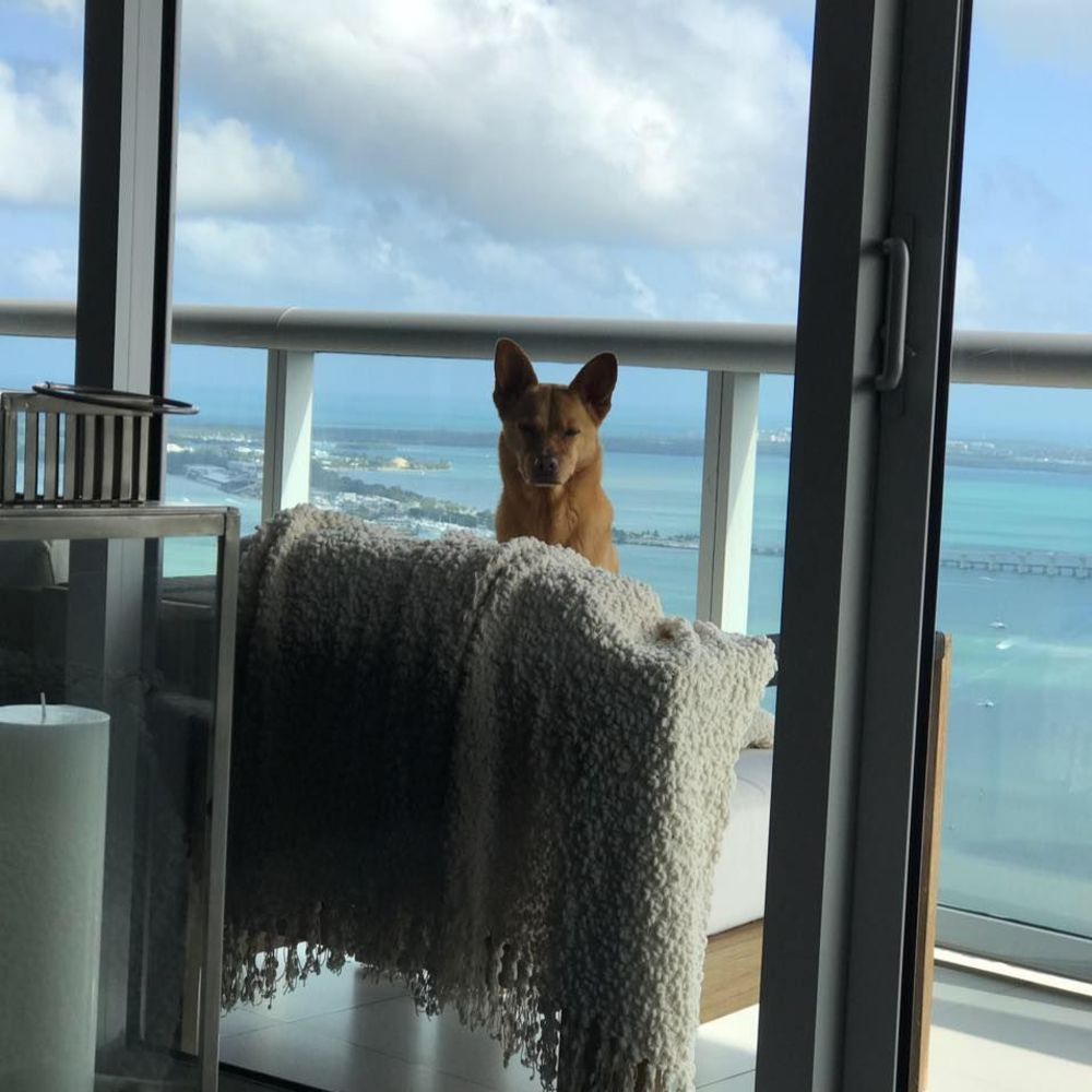 Meet your Posher, Jason